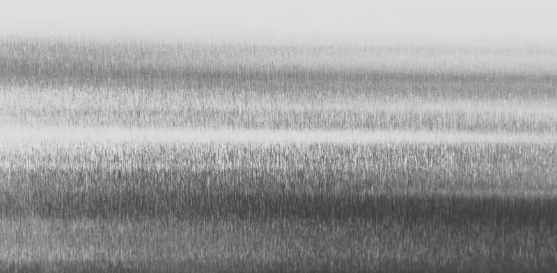 Brushed surface of a 2205 duplex stainless steel bar